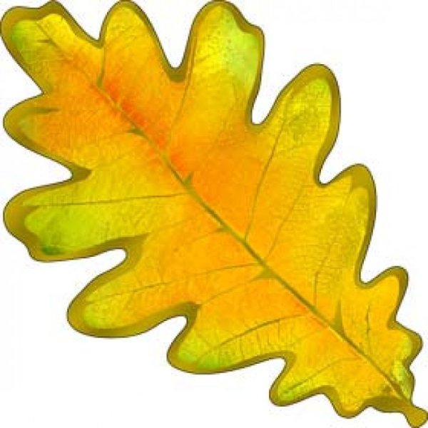 Дубовый листок