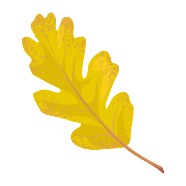 Дубовые листочки