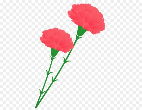 Стилизованная гвоздика