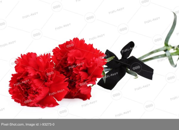 Гвоздики 2 штуки