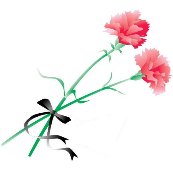 Цветы 2 гвоздики