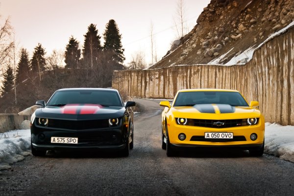 Шевроле Камаро Шмель