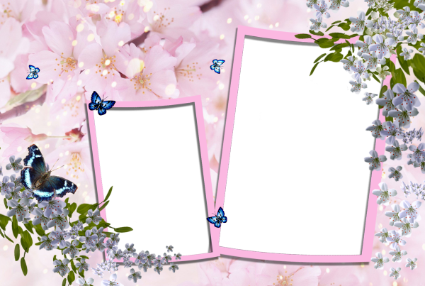 Красивые фоторамки для фотографий