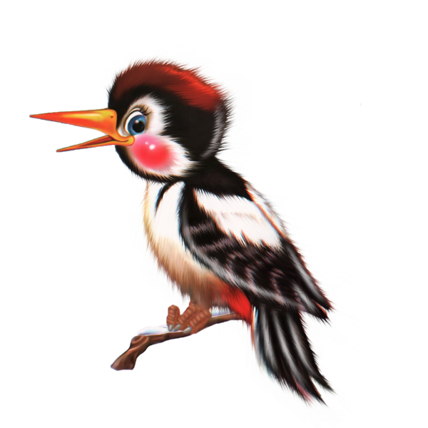 Дятел для детей