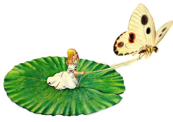 Дюймовочка и мотылек
