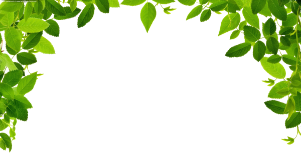 Рамка зелень