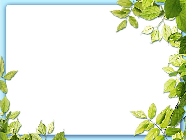Рамка для презентации природа