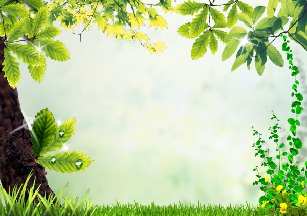 Рамка для текста природа