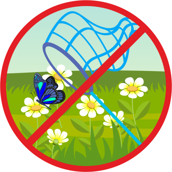 Экологические знаки