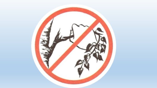 Знаки природы