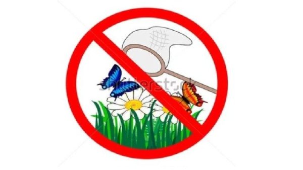 Природоохранные знаки для детей