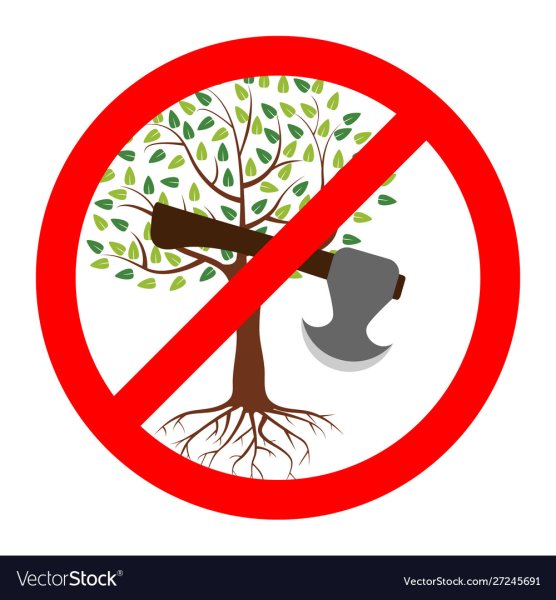 Нельзя вырубать деревья