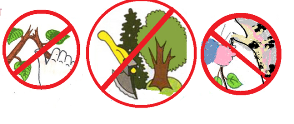 Не ломать деревья знак для детей