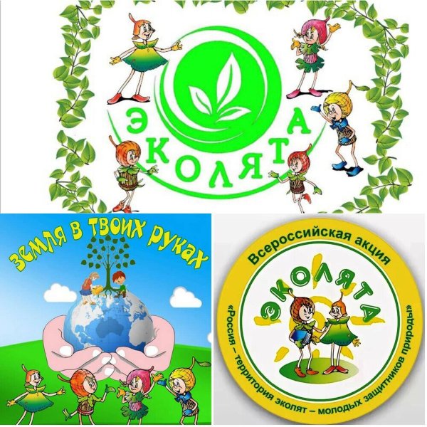 Логотип Эколята дошколята