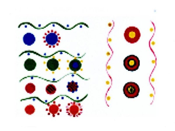 Элементы росписи дымковской игрушки