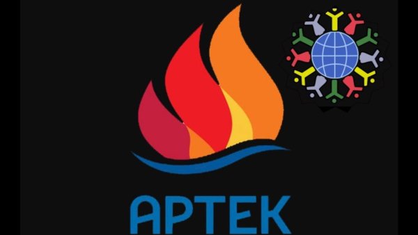 Янтарный лагерь Артек эмблема