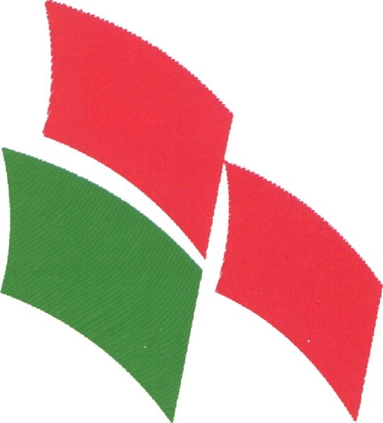 Белая Русь (Общественное объединение)