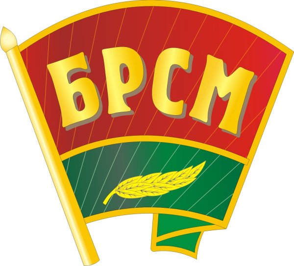 БРСМ логотип РБ