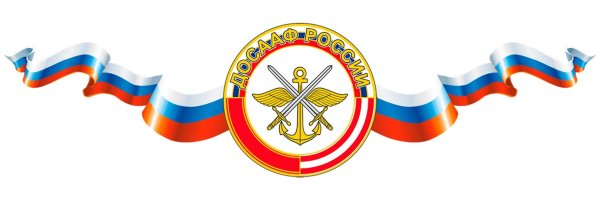 ДОСААФ России картинки
