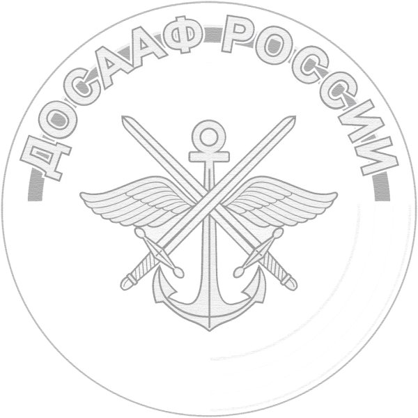 Звезда ДОСААФ