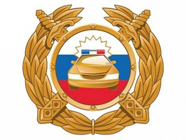 Герб ГАИ вектор