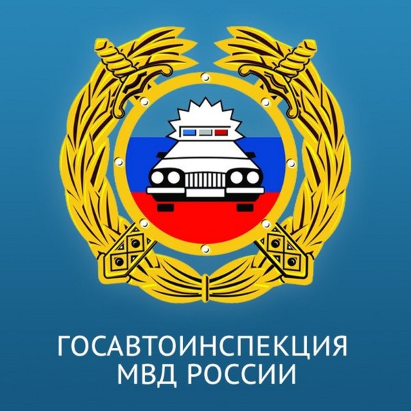 Госавтоинспекция значок