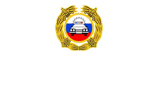 Госавтоинспекция значок