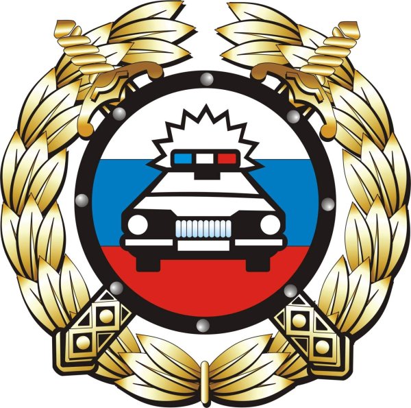 Госавтоинспекция значок