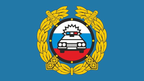 Госавтоинспекция значок