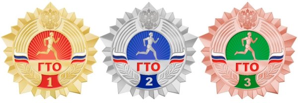 Бронзовый значок ГТО