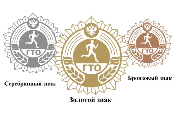 Министерство спорта Новгородской области значок