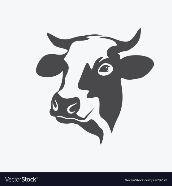 Голова коровы вектор