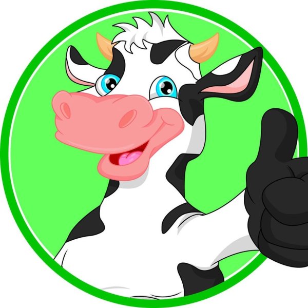 Круглая морда коровы