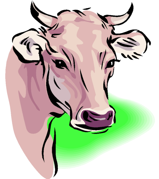 Голова коровы на прозрачном фоне