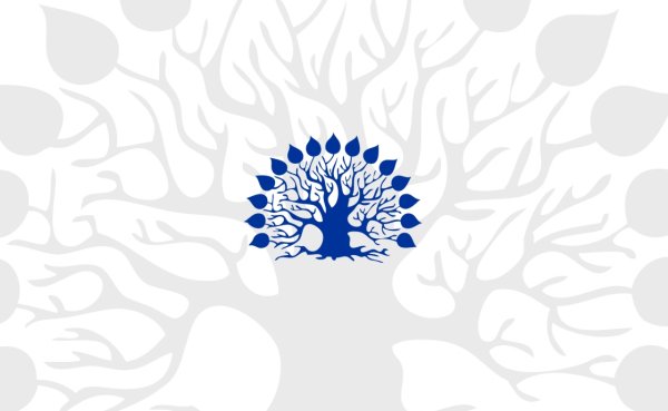 Кубанский государственный университет дерево