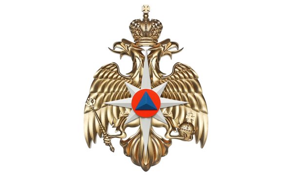 Значок МЧС С орлом
