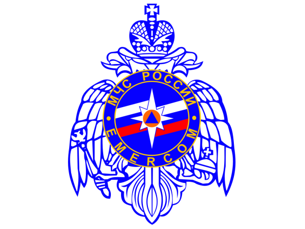 МЧС России EMERCOM эмблема