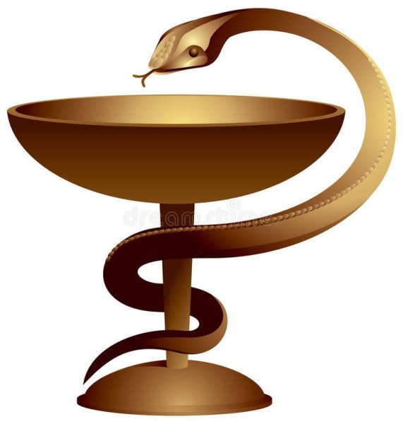 Чаша со змеей