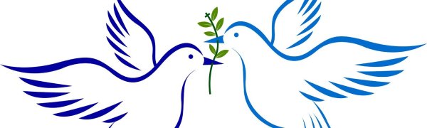 Белый голубь символ мира