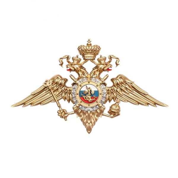 Министерство внутренних дел Российской Федерации МВД