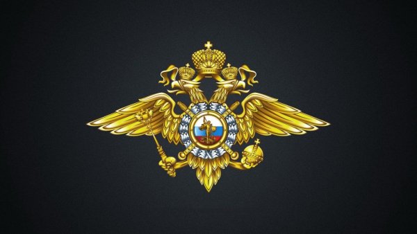 Министерство внутренних дел Российской Федерации (МВД России)