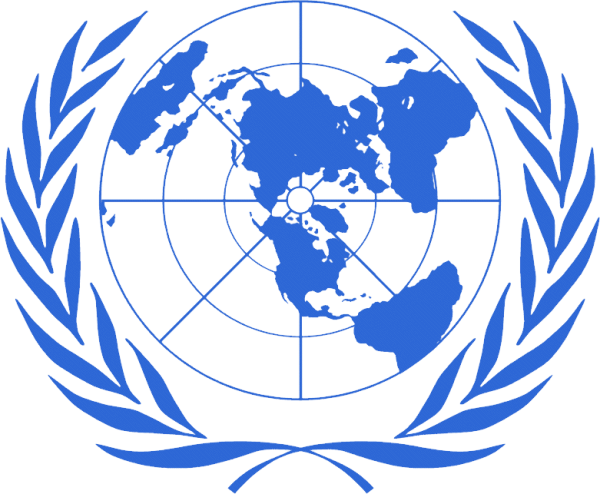 Лого европейской экономической комиссии ООН