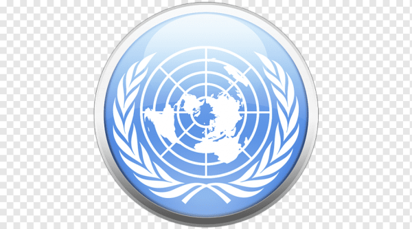 Организация Объединённых наций лого
