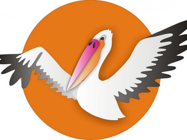 Пеликан символ конкурса учитель года