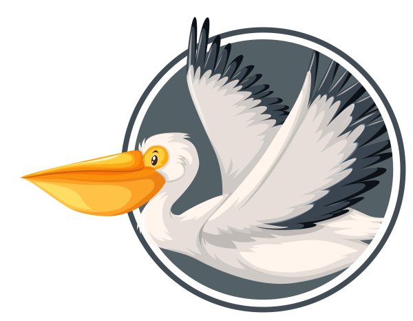Пеликан векторное изображение