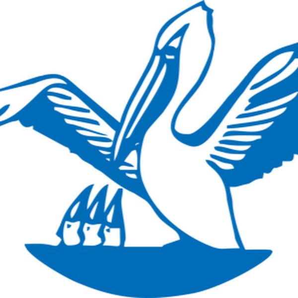 Пеликан символ года педагога