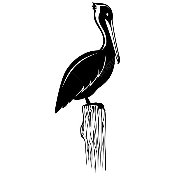 Пеликан силуэт