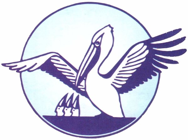 Пеликан педагог года