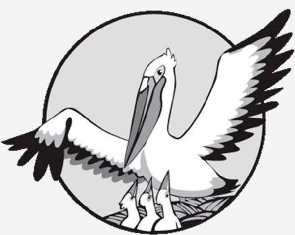 Пеликан символ учительства