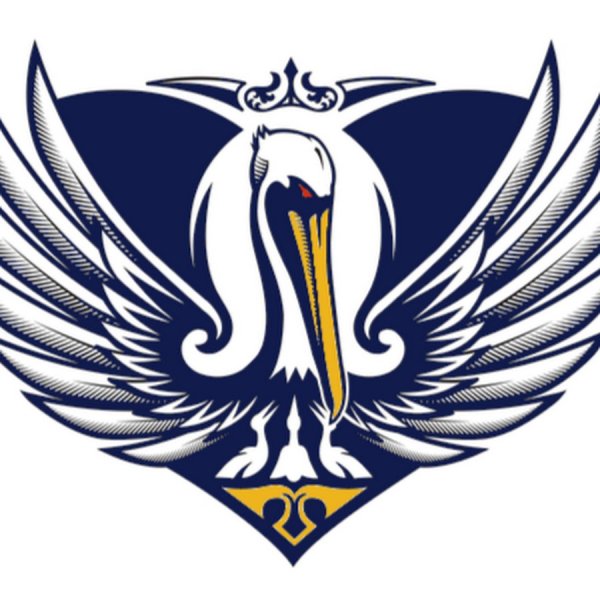 Пеликан логотип